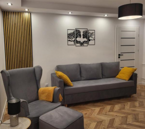 Apartament M&K z widokiem na Stare Miasto